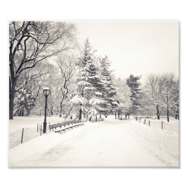 Foto Central Park Winter Path - Nova Iorque (Frente)