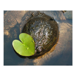 Foto Centralizado