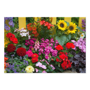 Foto Cerca de estacas amarelas com jardim de flores em