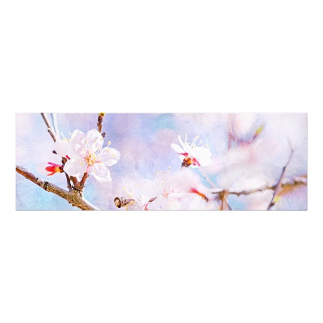 Foto Cerejeira Japonesa - Sakura em Flor (Frente)