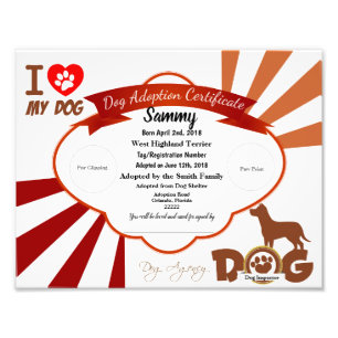 Foto Certificado customizável da adopção do cão de