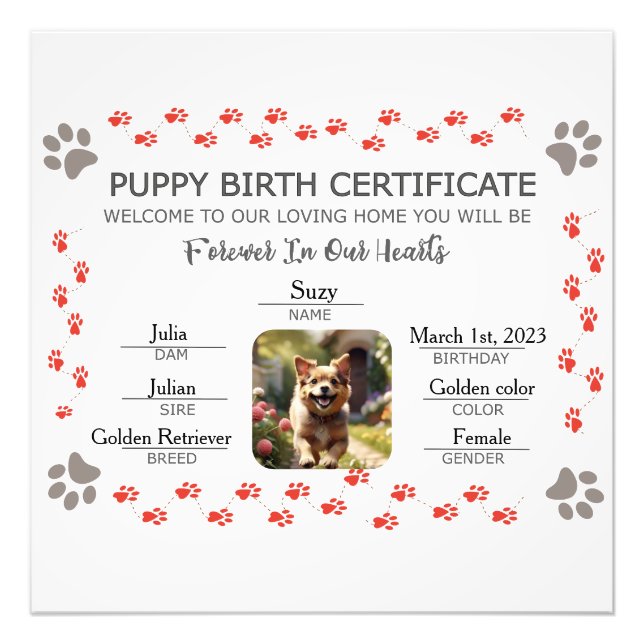 Foto Certificado de Nascimento de Puppy Personalizado (Frente)