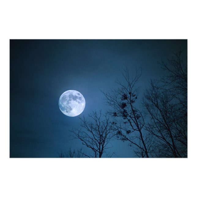 Foto Céu Noturno Assustador com árvores áridas e lua ch (Frente)
