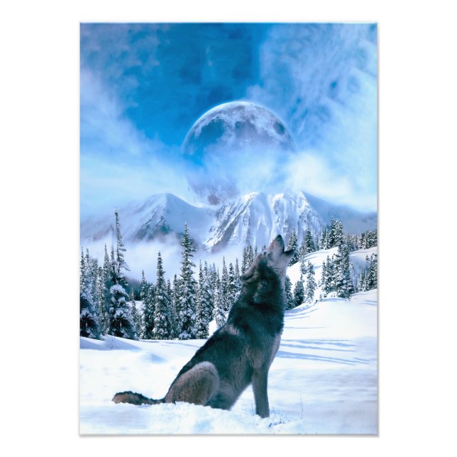 Foto Chamada de Lobo (Frente)