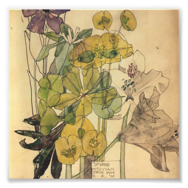 Foto Charles Rennie Mackintosh - Spurge Com Yham 1909 (Frente)