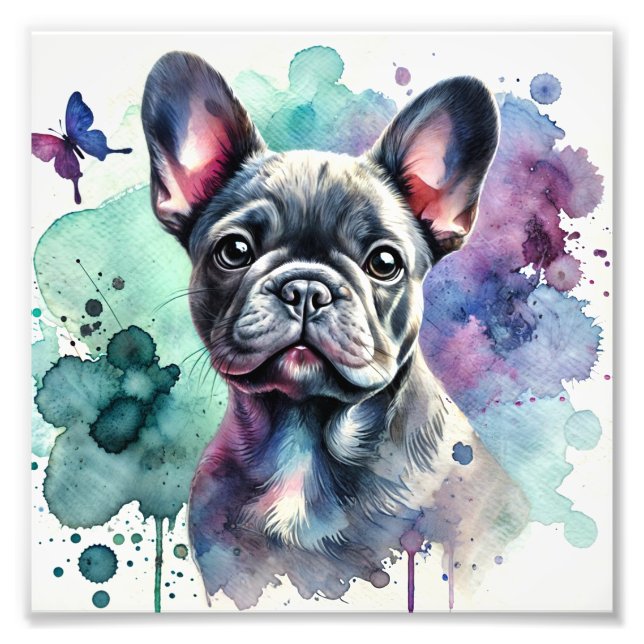 Foto Charmoso Bulldog Francês (Frente)