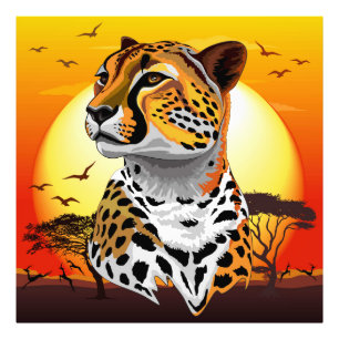 Foto Cheetah African Feline Wild Animal