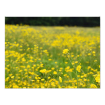 Cheio de Campo do Copo Amarelo Brilho