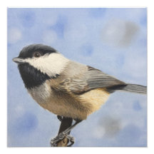 Chickadee dee
