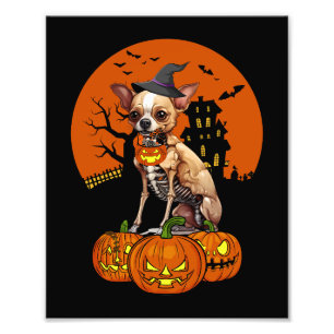 Foto Chihuahua Dog Halloween