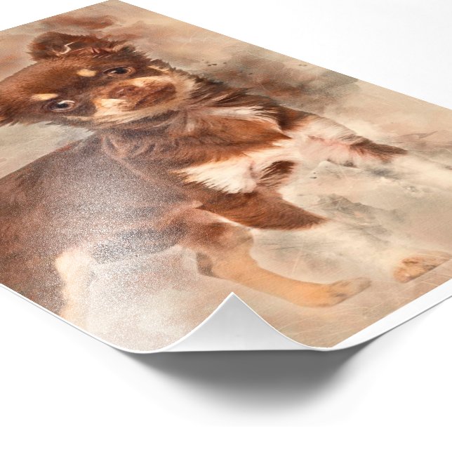 Foto Chihuahua looking at camer_Dog Lover (Borda)