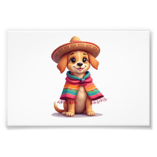 Foto Chihuahua México Cinco de Mayo Cachorro Engraçado