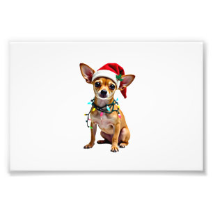 Foto Chihuahua Natal Papai Noel Suéter Feio Amante de C