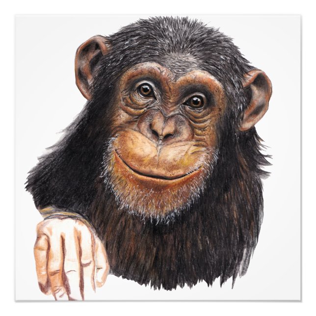 Foto Chimpanzé Encantador (Frente)
