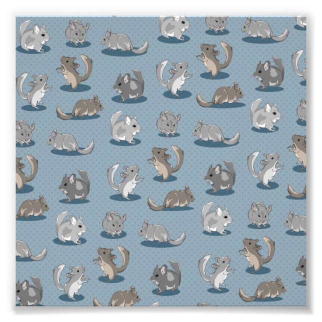 Foto Chinchilla Pattern (Frente)