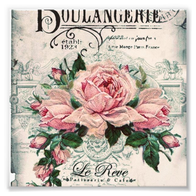 Foto chique, dissociação, vitoriano, chic francês, pa (Frente)