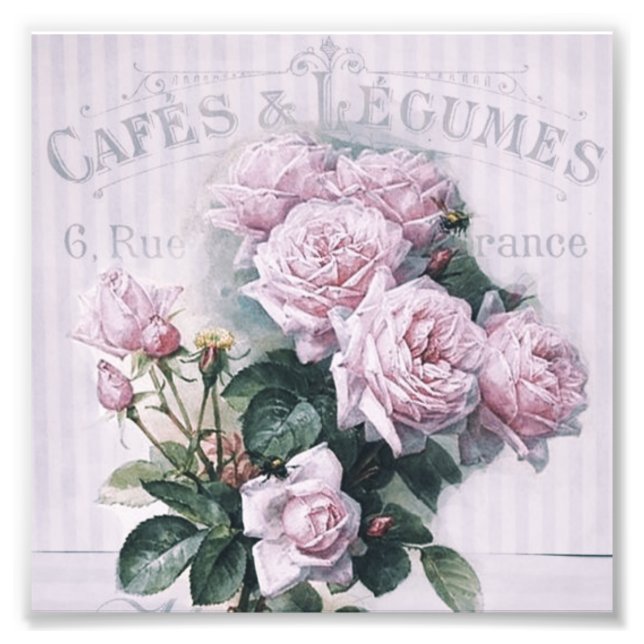 Foto chique, dissociação, vitoriano, chic francês, pa (Frente)