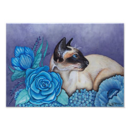 Foto Chocolate Point Siamese