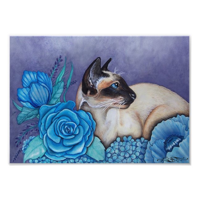 Foto Chocolate Point Siamese (Frente)