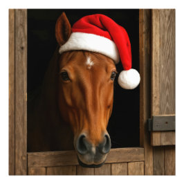 Foto Christmas Horse In Stable Window