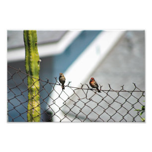 Foto Cidade Terrace