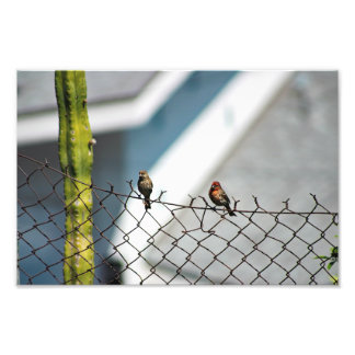 Foto Cidade Terrace