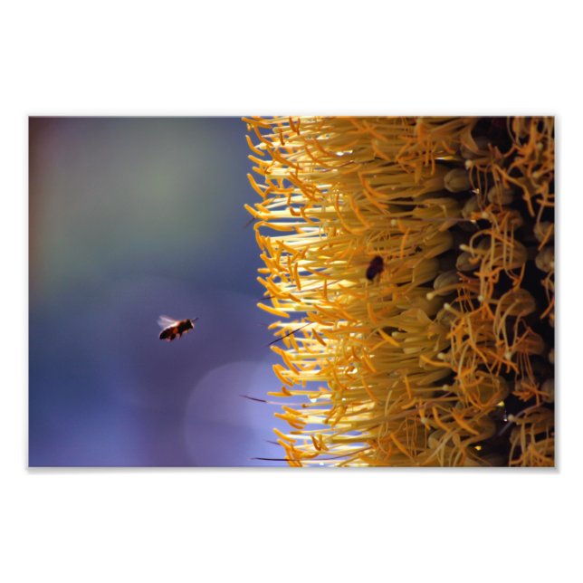 Foto Cidade Terrace (Frente)