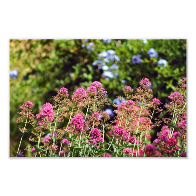 Foto Cidade Terrace (Frente)