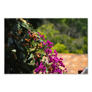 Foto Cidade Terrace