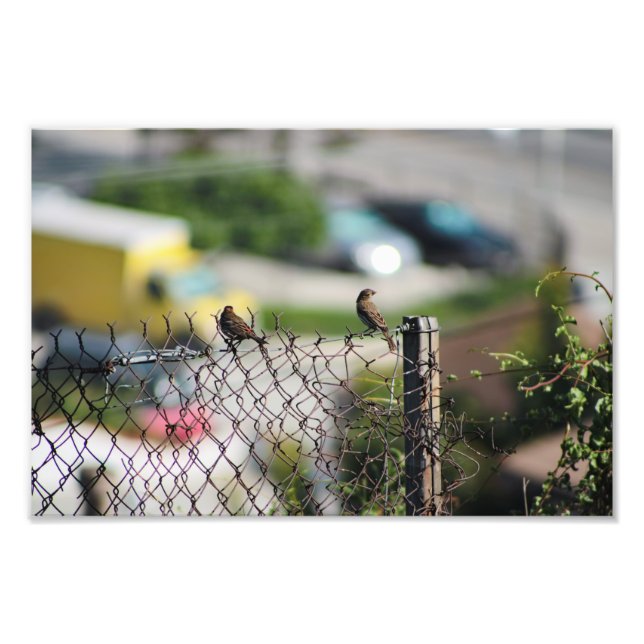 Foto Cidade Terrace (Frente)