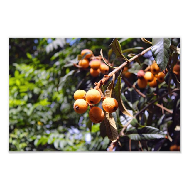 Foto Cidade Terrace (Frente)