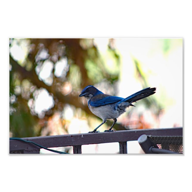 Foto Cidade Terrace (Frente)