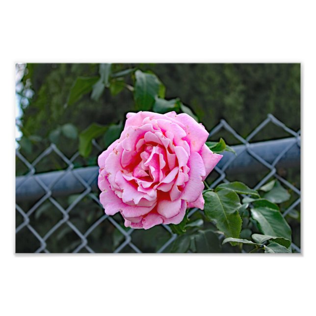 Foto Cidade Terrace (Frente)