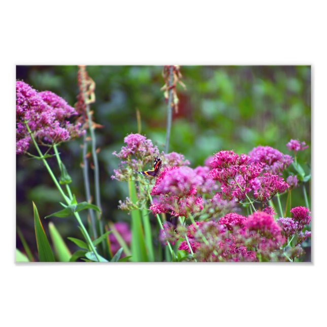 Foto Cidade Terrace (Frente)