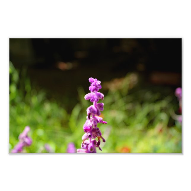 Foto Cidade Terrace (Frente)