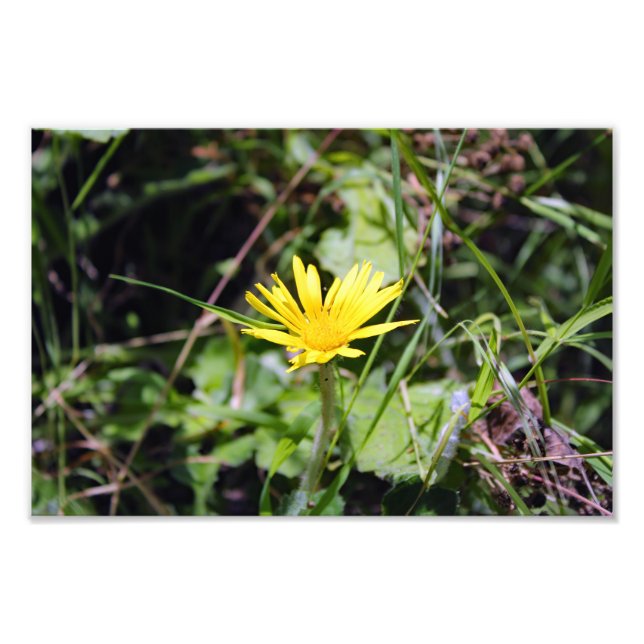 Foto Cidade Terrace (Frente)