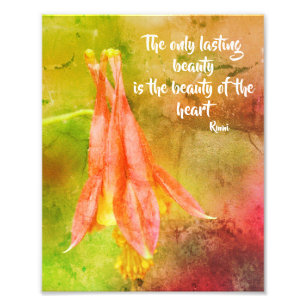 Foto Citação de Rumi Inspiracional Columbine de Beleza 