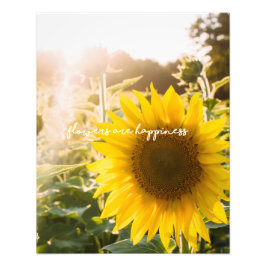 Foto Citação do girassol "flores são felicidade"