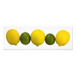 Foto Citrus Row Photo