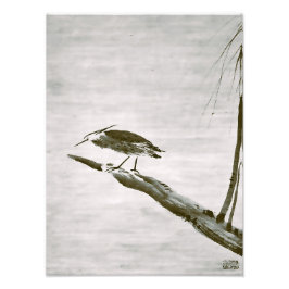 Foto Clássicos Zen - Sesshu - Garça e Salgueiro