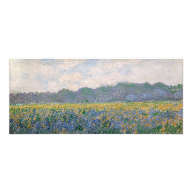 Foto Claude Monet - Campo de Íris Amarelos em Giverny (Frente)
