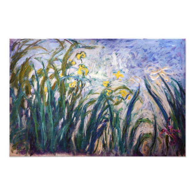Foto Claude Monet - Íris Amarelas e Roxas (Frente)