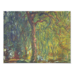 Foto Claude Monet - salgueiro Weeping