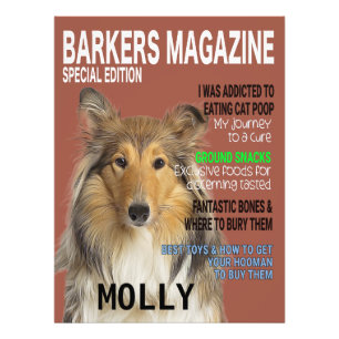 Foto Cobrir da Revista Collie Parody