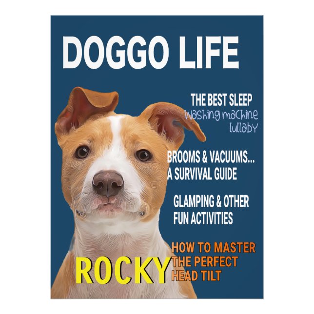 Foto Cobrir da Revista Pitbull Parody (Frente)