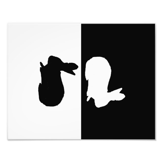 Foto coelho (Frente)