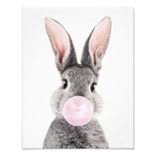 Foto Coelho cinza soprando chiclete rosa
