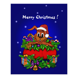 Foto Coelho Natal