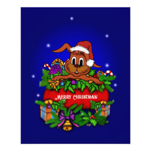 Foto Coelho Natal