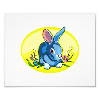 Foto coelho sentado azul flores ovais amarelas.png